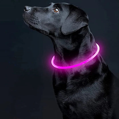 Collier LED Chien USB – Sécurité Nocturne Lumineuse