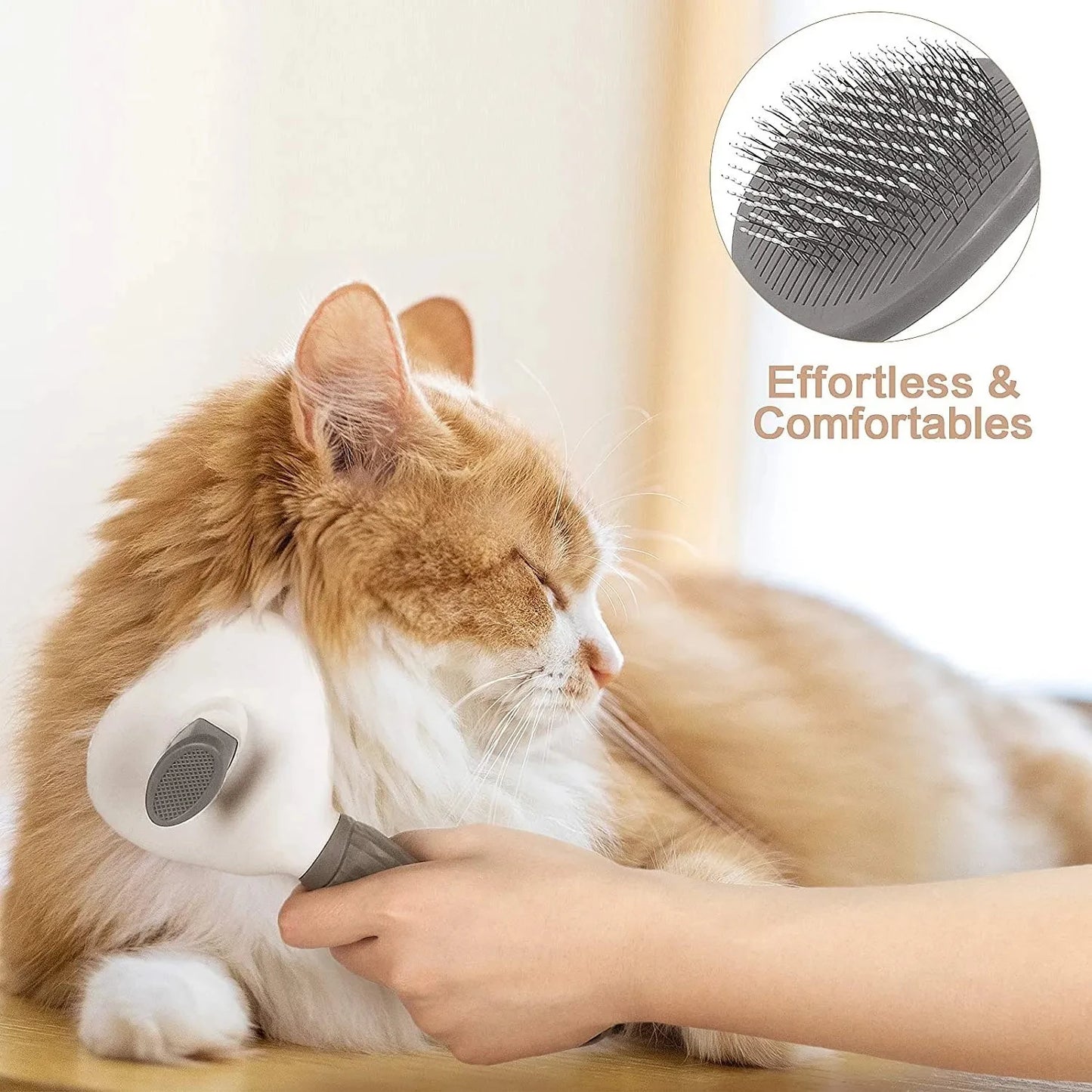 Brosse pour chien / chat