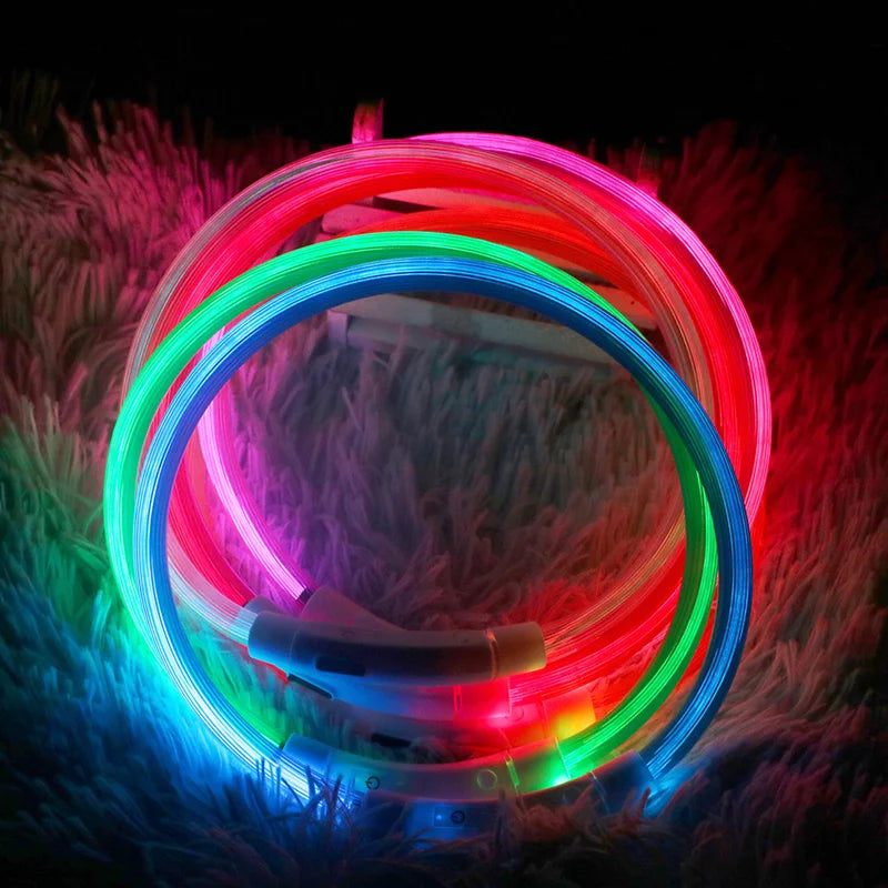 Collier LED Chien USB – Sécurité Nocturne Lumineuse