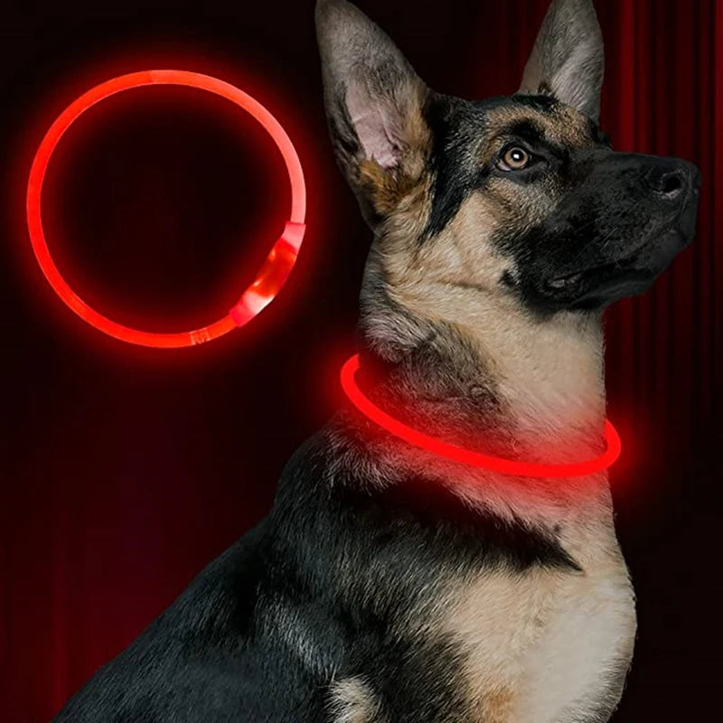 Collier LED Chien USB – Sécurité Nocturne Lumineuse