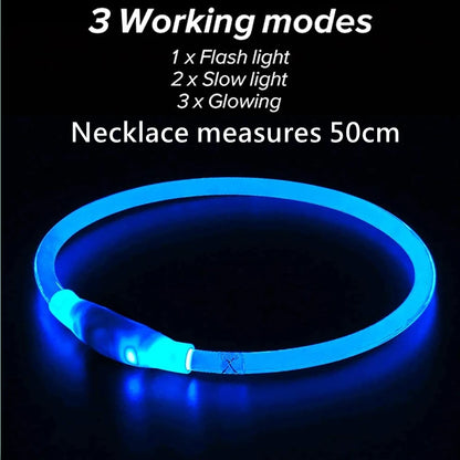Collier LED Chien USB – Sécurité Nocturne Lumineuse
