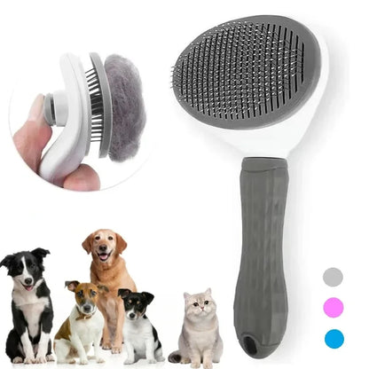 Brosse pour chien / chat