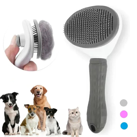 Brosse pour chien / chat