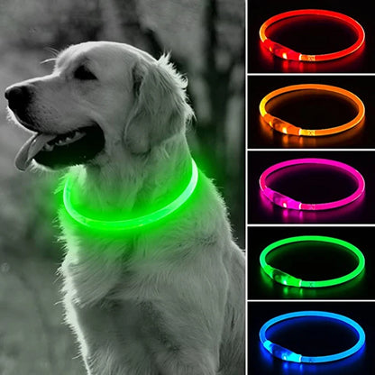 Collier LED Chien USB – Sécurité Nocturne Lumineuse