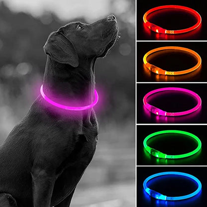 Collier LED Chien USB – Sécurité Nocturne Lumineuse
