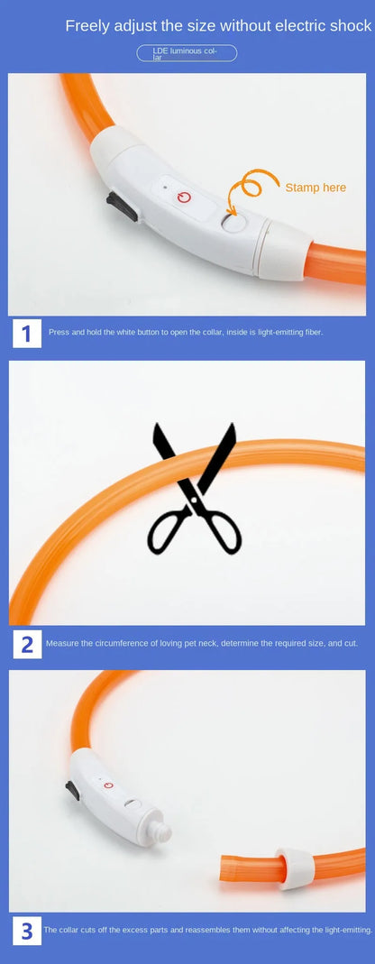 Collier LED Chien USB – Sécurité Nocturne Lumineuse